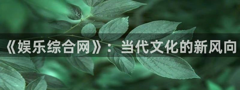 红足1世足球网