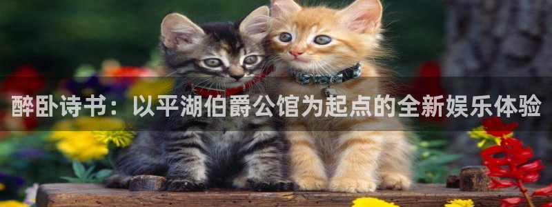 红足1世66814手机