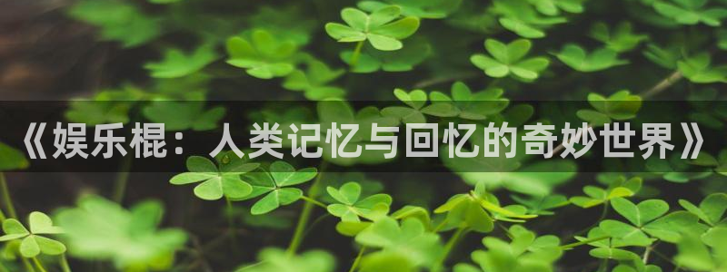 红足1世足球网址大全
