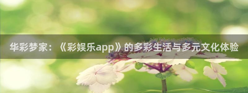 红足1世足球官网入口