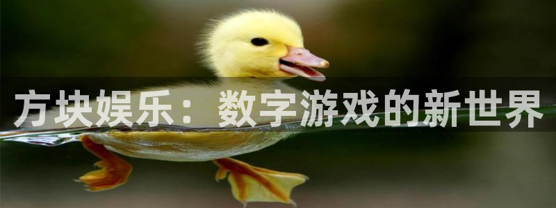 红足1世足球网页版入口