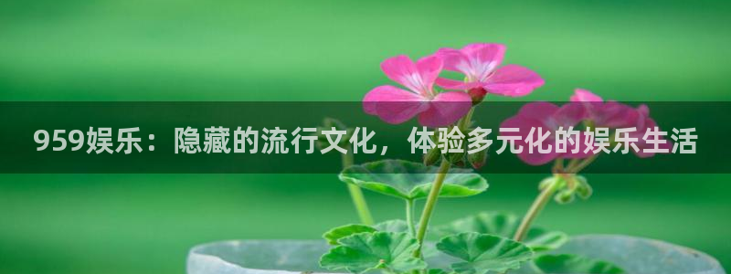 红足1世足球网页版入口